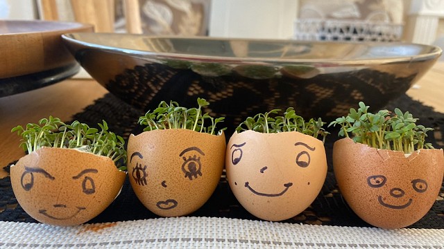 Egg cress head competition entry