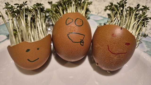 Egg cress head competition entry