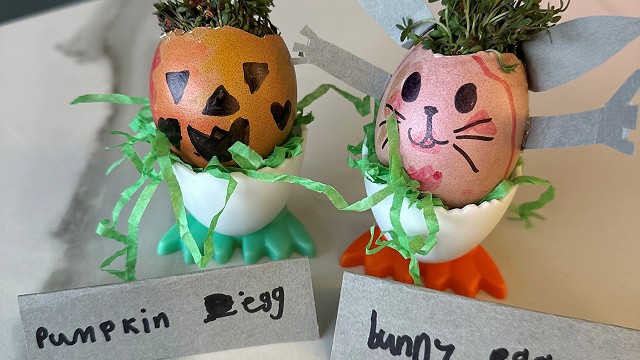 Egg cress head competition entry