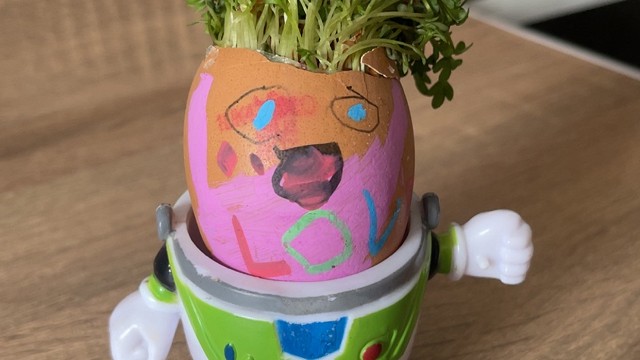 Egg cress head competition entry