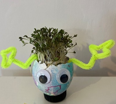 Egg cress head competition entry