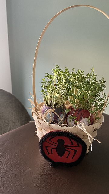 Egg cress head competition entry