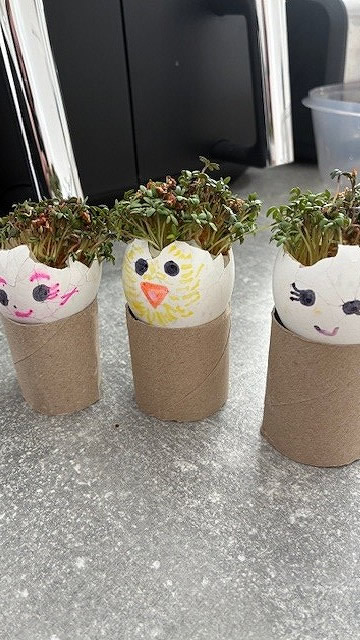 Egg cress head competition entry