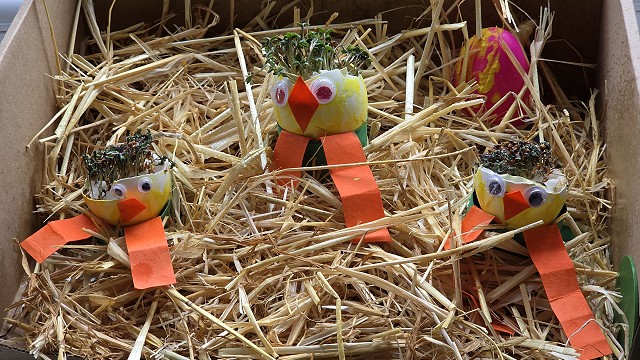 Egg cress head competition entry
