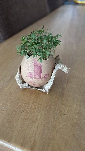 Egg cress head competition entry