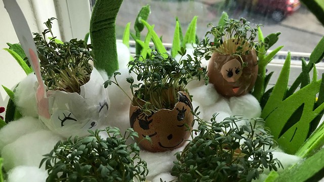 Egg cress head competition entry