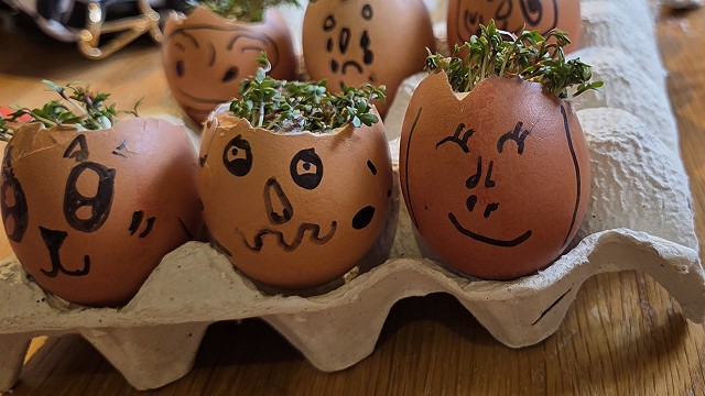 Egg cress head competition entry