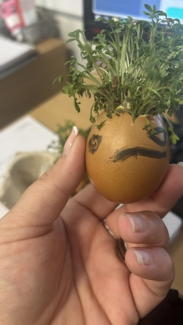Egg cress head competition entry
