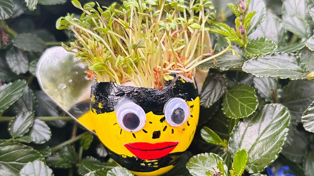 Egg cress head competition entry