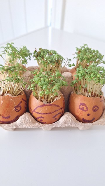 Egg cress head competition entry
