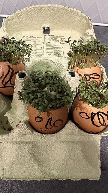 Egg cress head competition entry