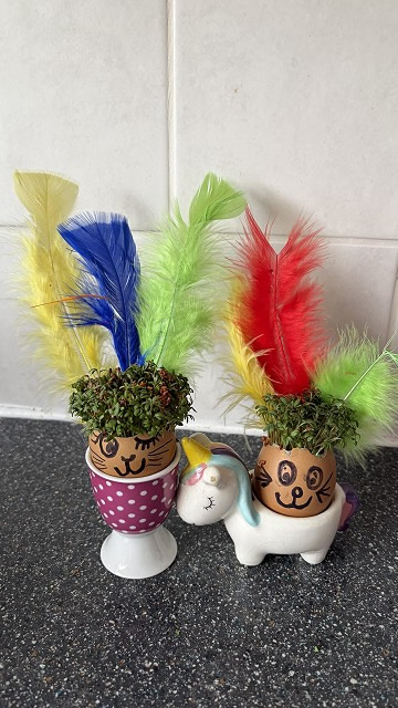 Egg cress head competition entry