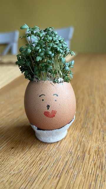 Egg cress head competition entry