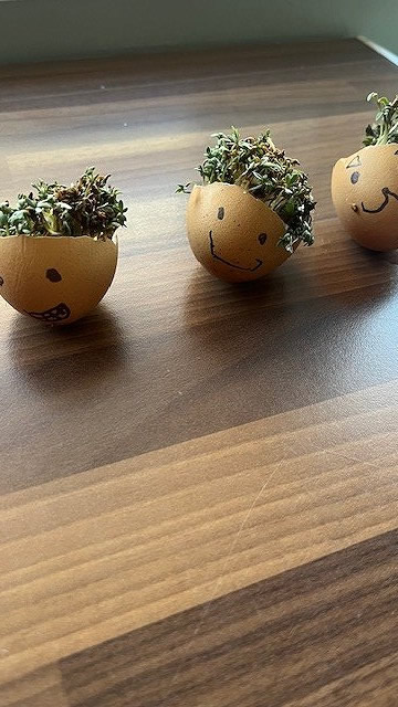 Egg cress head competition entry