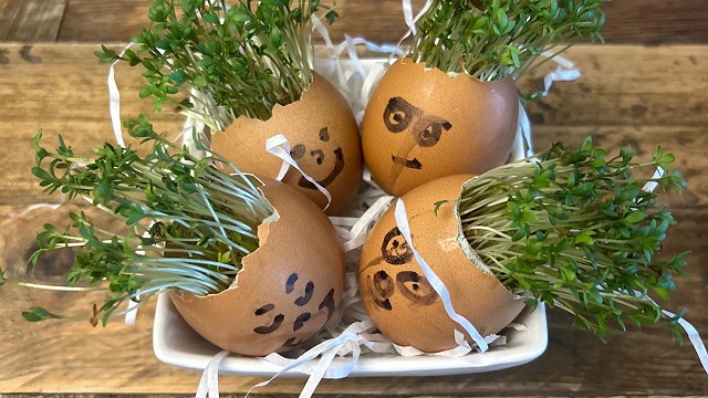 Egg cress head competition entry