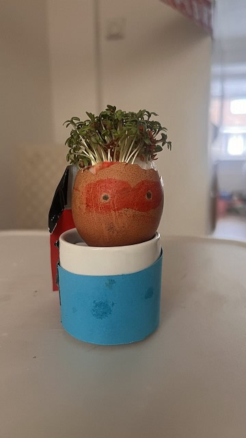 Egg cress head competition entry