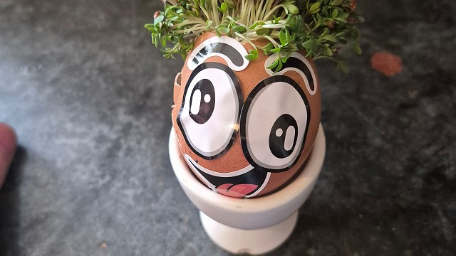 Egg cress head competition entry