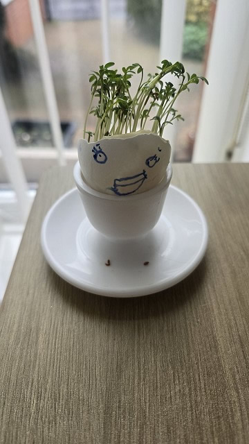 Egg cress head competition entry