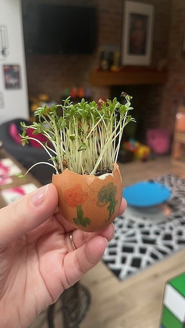 Egg cress head competition entry