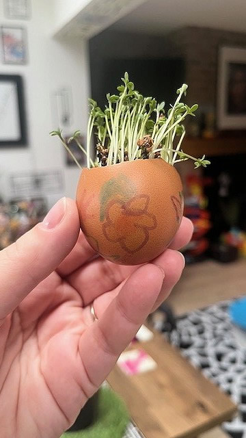 Egg cress head competition entry