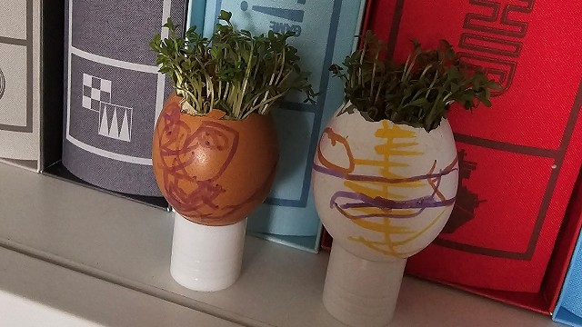 Egg cress head competition entry