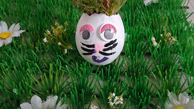 Egg cress head competition entry