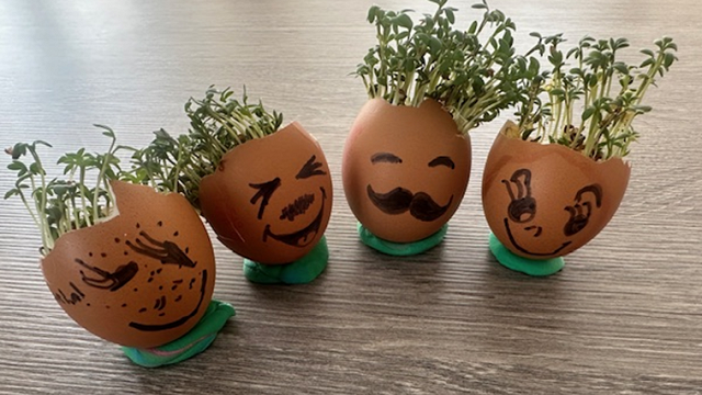 Egg cress head competition entry