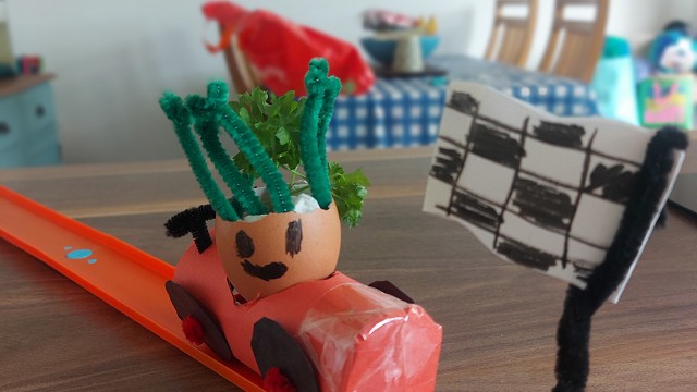 Egg cress head competition entry