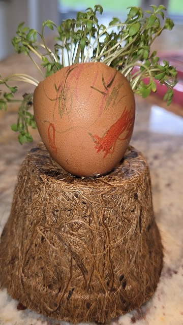 Egg cress head competition entry