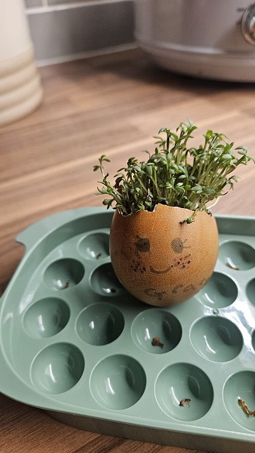 Egg cress head competition entry
