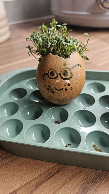 Egg cress head competition entry