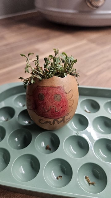 Egg cress head competition entry