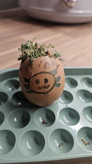 Egg cress head competition entry