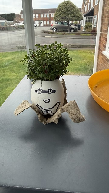Egg cress head competition entry