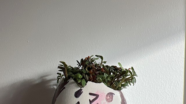 Egg cress head competition entry