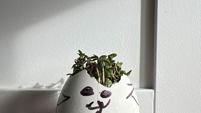 Egg cress head competition entry