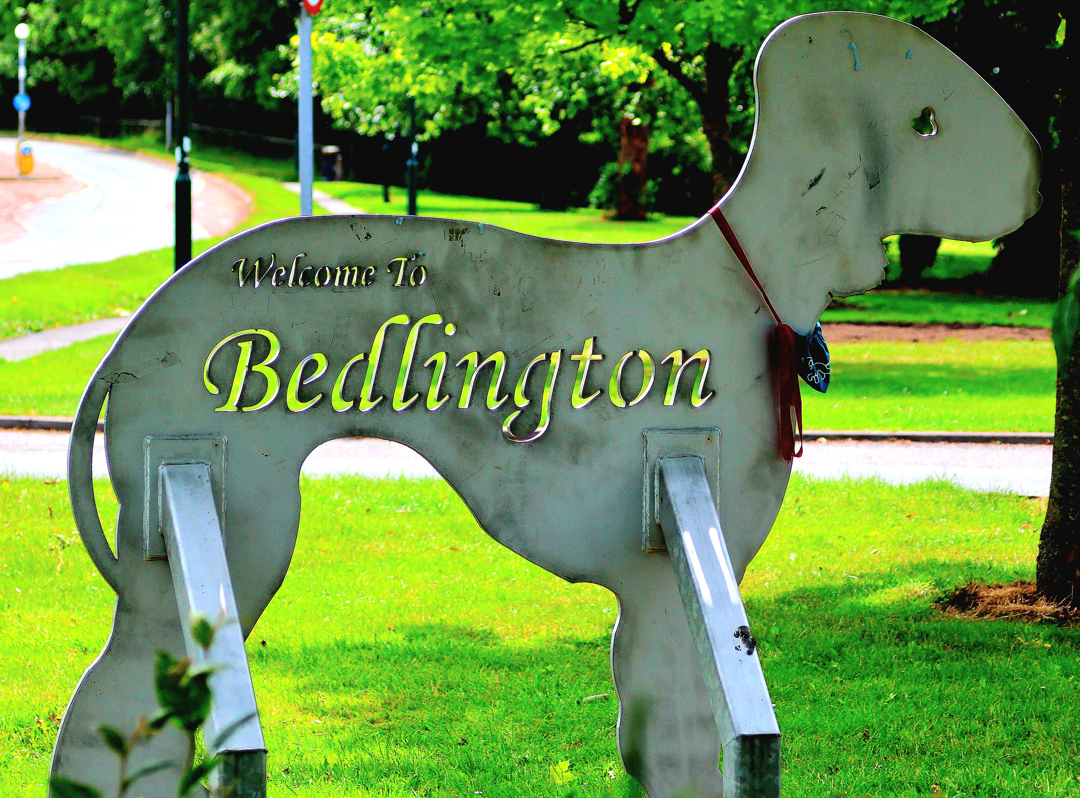 Annual Meeting of the Town