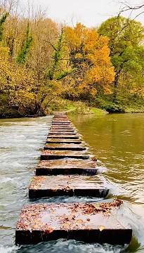 Bedlington Stepping Stones