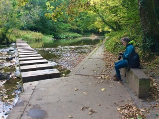 Bedlington Stepping Stones