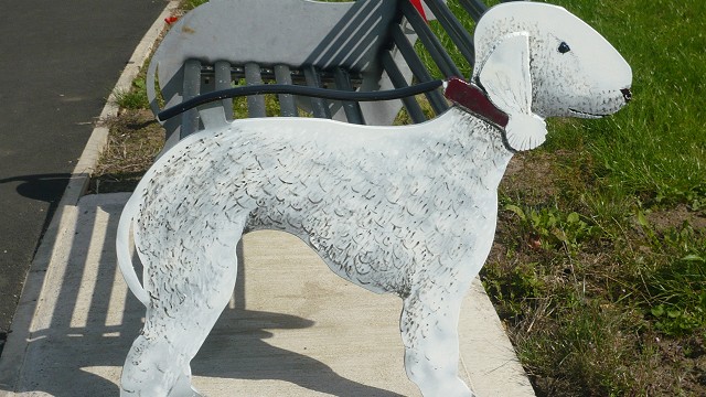 bedlingtonterrierseat